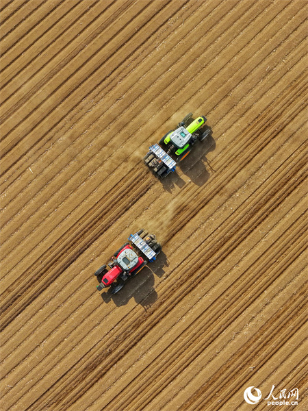 Jilin : marée de printemps et champs fertiles, les travaux de de labourage et de semailles battent leur plein