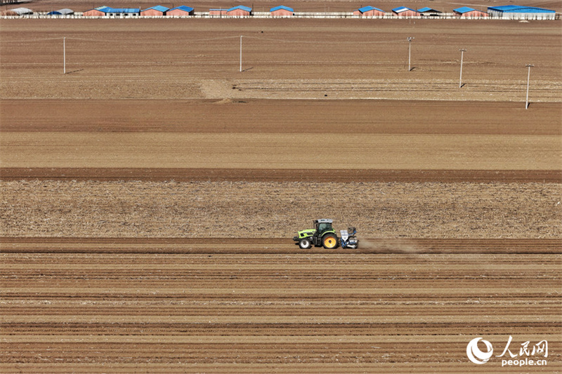 Jilin : marée de printemps et champs fertiles, les travaux de de labourage et de semailles battent leur plein