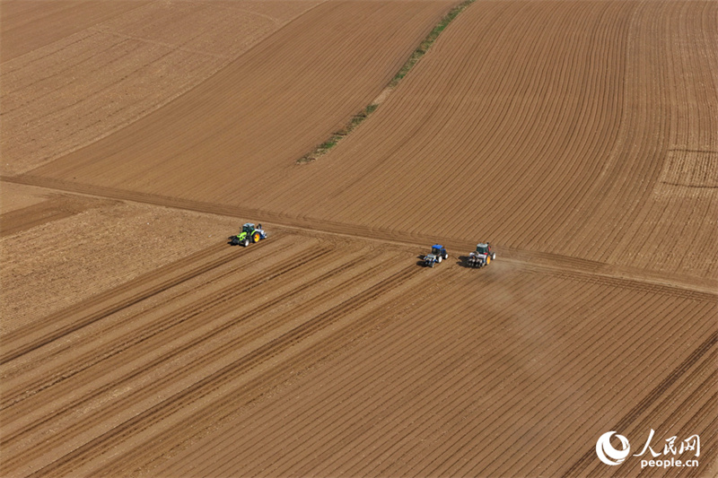 Jilin : marée de printemps et champs fertiles, les travaux de de labourage et de semailles battent leur plein