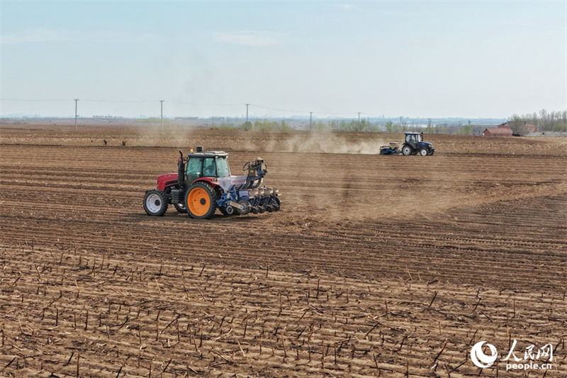 Jilin : marée de printemps et champs fertiles, les travaux de de labourage et de semailles battent leur plein