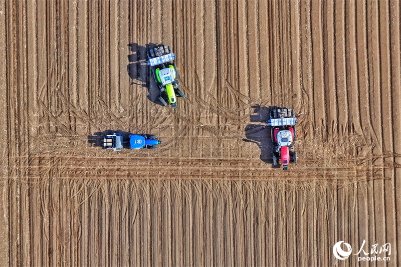 Jilin : marée de printemps et champs fertiles, les travaux de de labourage et de semailles battent leur plein