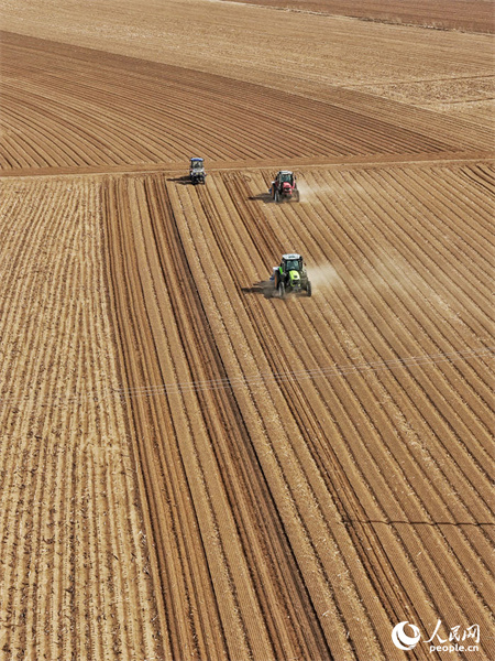 Jilin : marée de printemps et champs fertiles, les travaux de de labourage et de semailles battent leur plein