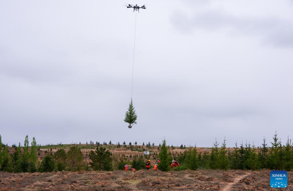 Gansu : des drones transportent des jeunes plants d'arbres pour le reboisement à Lanzhou