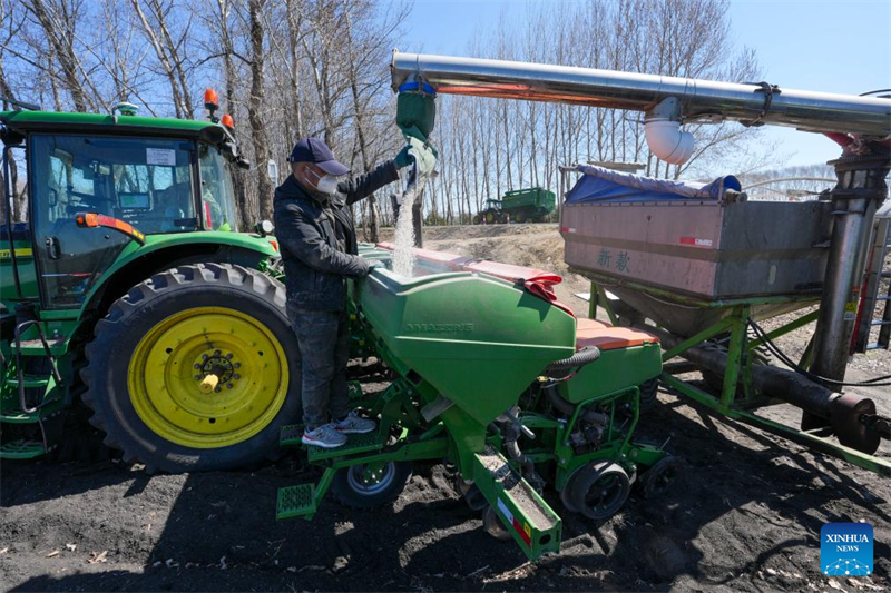 Heilongjiang : des machines agricoles avancées améliorent l'efficacité des semis de printemps