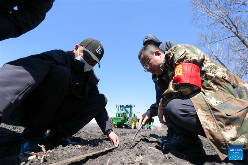 Heilongjiang : des machines agricoles avancées améliorent l'efficacité des semis de printemps