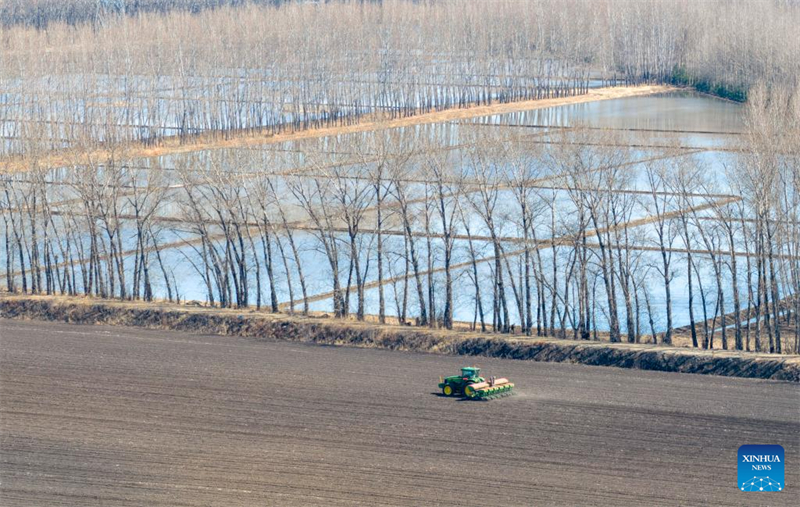 Heilongjiang : des machines agricoles avancées améliorent l'efficacité des semis de printemps