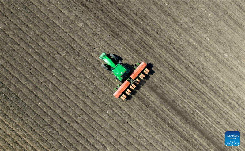 Heilongjiang : des machines agricoles avancées améliorent l'efficacité des semis de printemps