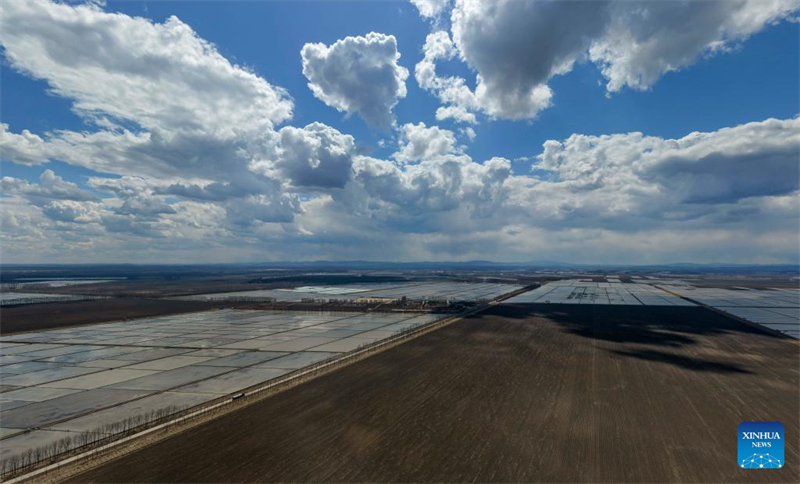 Heilongjiang : des machines agricoles avancées améliorent l'efficacité des semis de printemps