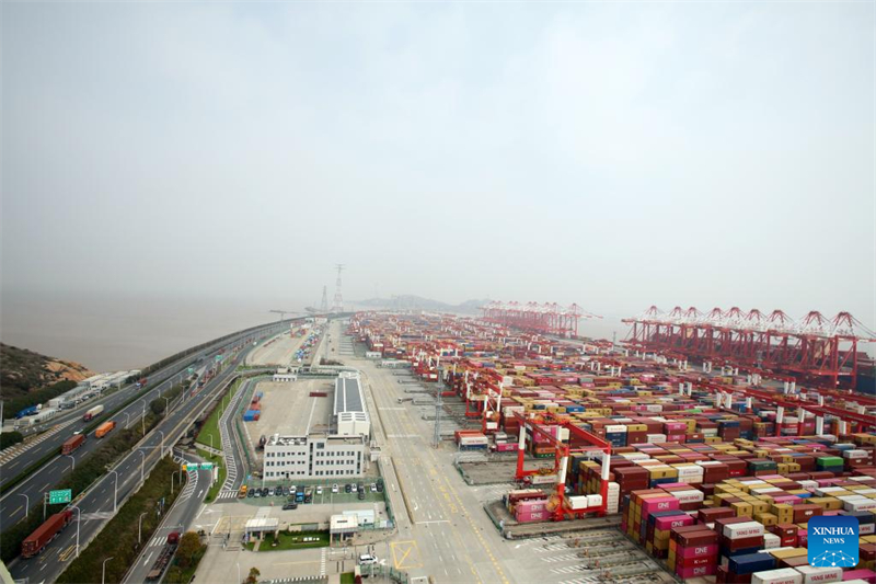 Shanghai : le port en eau profonde de Yangshan enregistre une hausse de 9,1 % du trafic de conteneurs d'une année sur l'autre