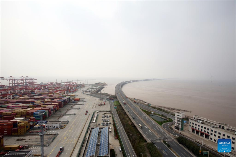 Shanghai : le port en eau profonde de Yangshan enregistre une hausse de 9,1 % du trafic de conteneurs d'une année sur l'autre