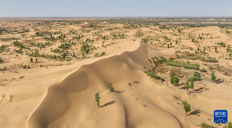Mongolie intérieure : le paysage du désert de Kubuqi au début de l'été