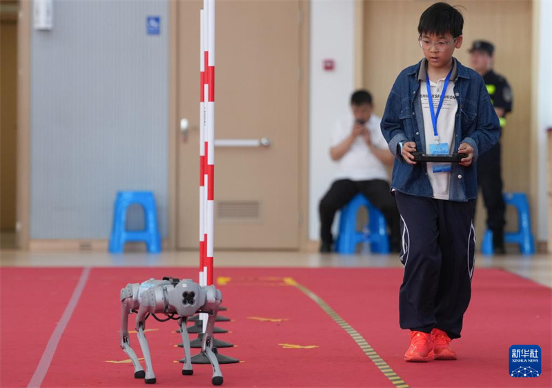 Zhejiang : une démonstration de robots en vitesse et parcours d'obstacles sur le campus à Hangzhou