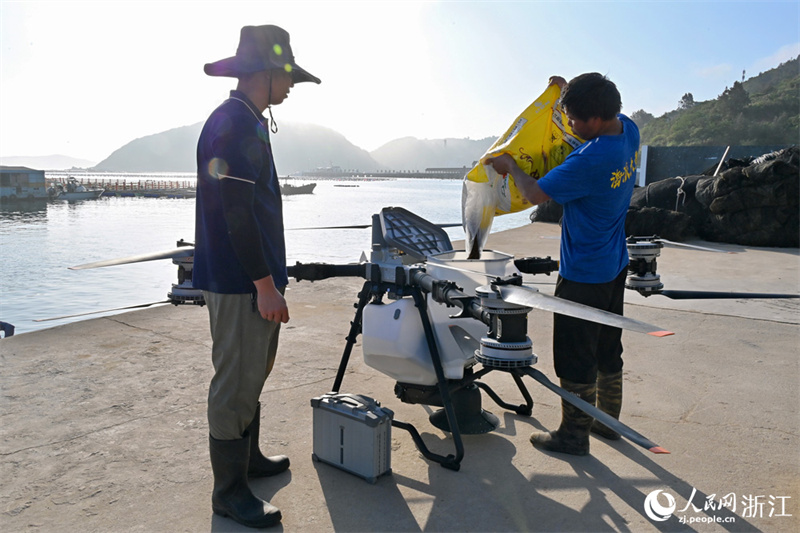 Zhejiang : à Wenzhou, la grande courbine jaune profite de la « livraison d'appâts par drone »