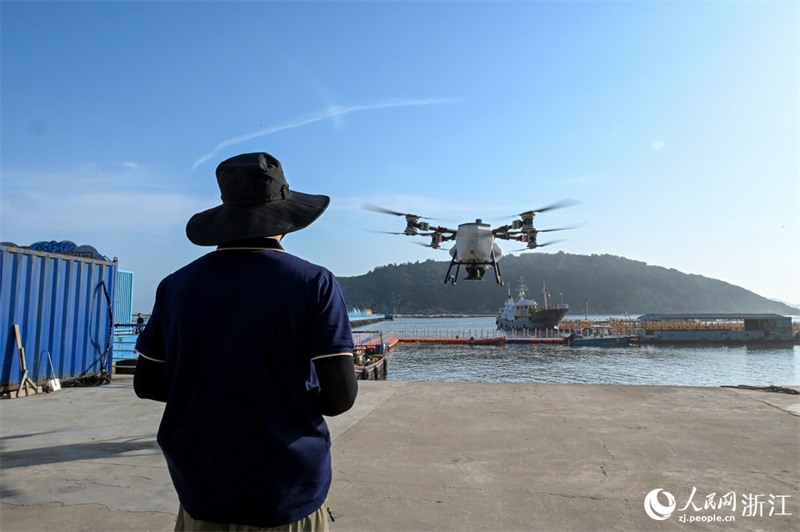 Zhejiang : à Wenzhou, la grande courbine jaune profite de la « livraison d'appâts par drone »