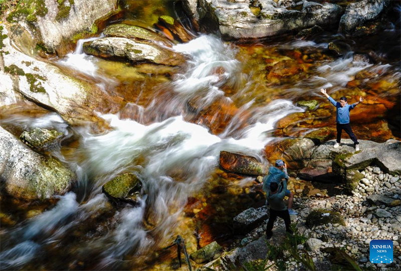 Yunnan : les regroupements de cascades de Ladeng attirent les touristes