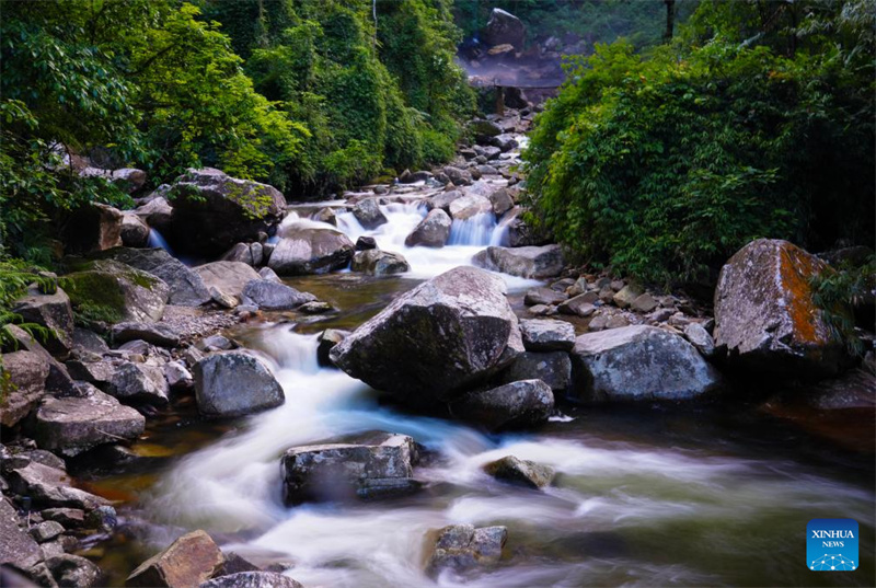 Yunnan : les regroupements de cascades de Ladeng attirent les touristes