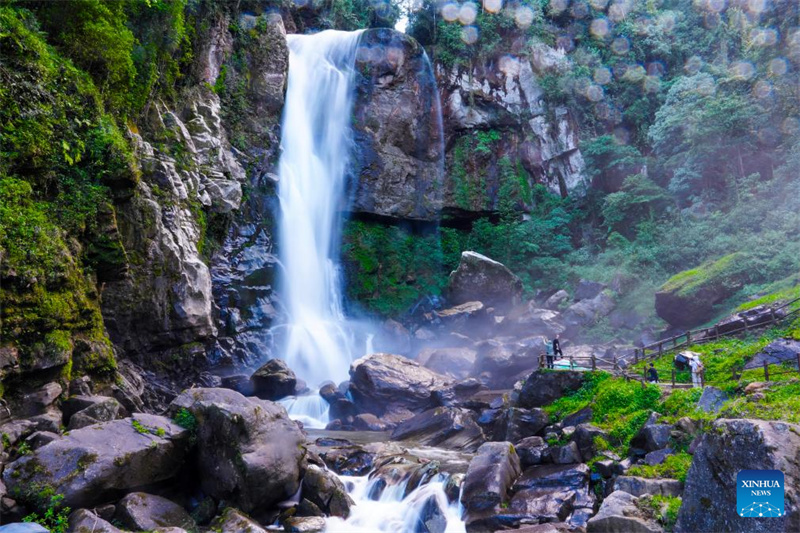 Yunnan : les regroupements de cascades de Ladeng attirent les touristes