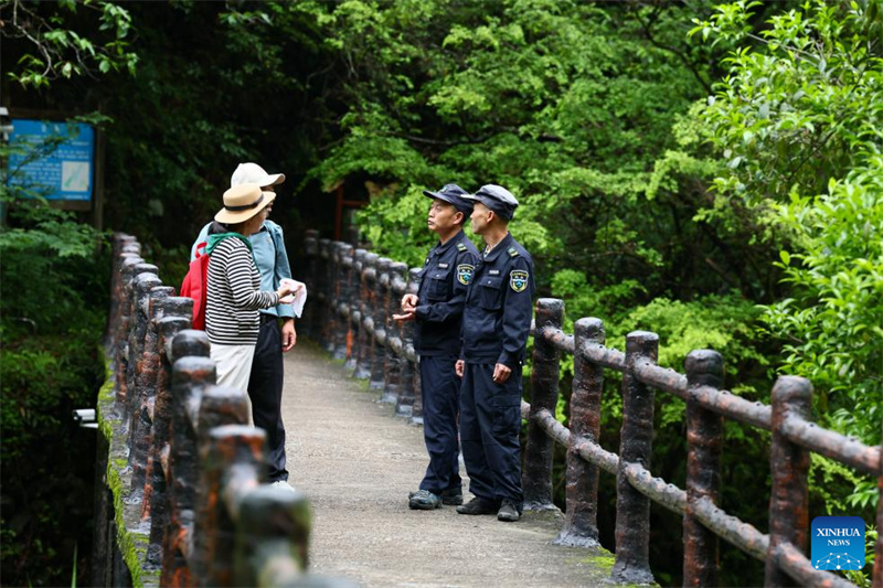 Fujian : un producteur de thé local garde le Parc national de Wuyishan en tant que garde forestier à temps partiel
