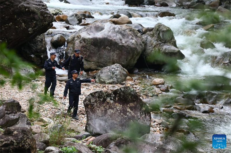Fujian : un producteur de thé local garde le Parc national de Wuyishan en tant que garde forestier à temps partiel