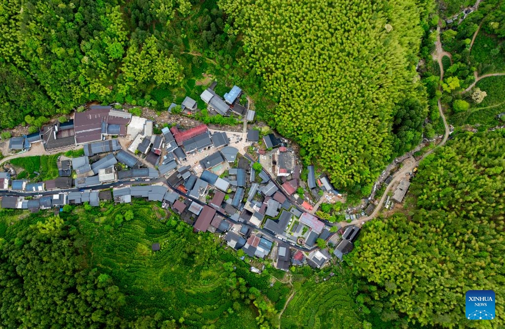 Fujian : un producteur de thé local garde le Parc national de Wuyishan en tant que garde forestier à temps partiel