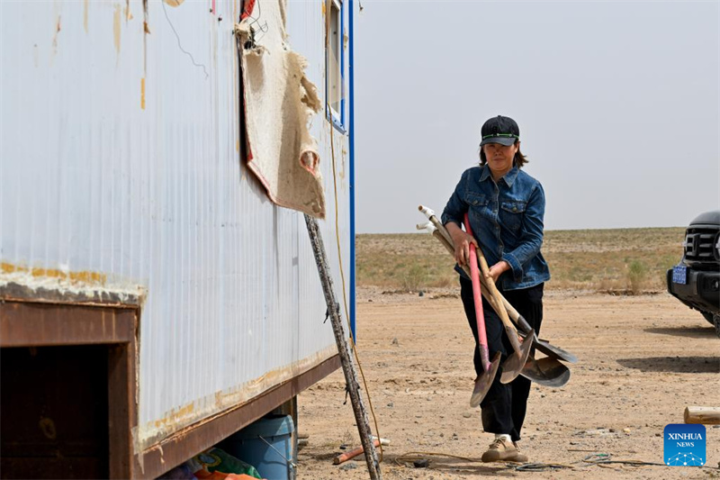Mongolie intérieure : comment un agent local de lutte contre la désertification a consacré 19 ans à transformer le désert en oasis