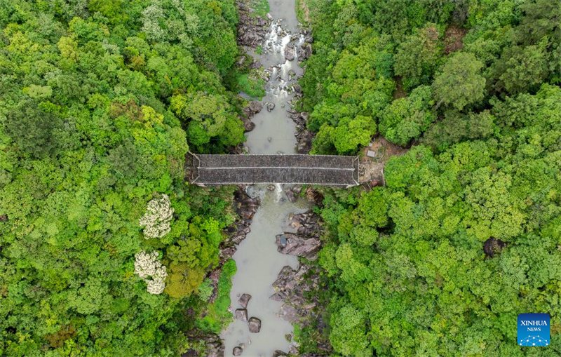 Fujian : des ponts en arc aux toits de bois bien conservés