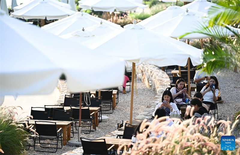 Guangdong : l'industrie du café prospère à Jiangmen