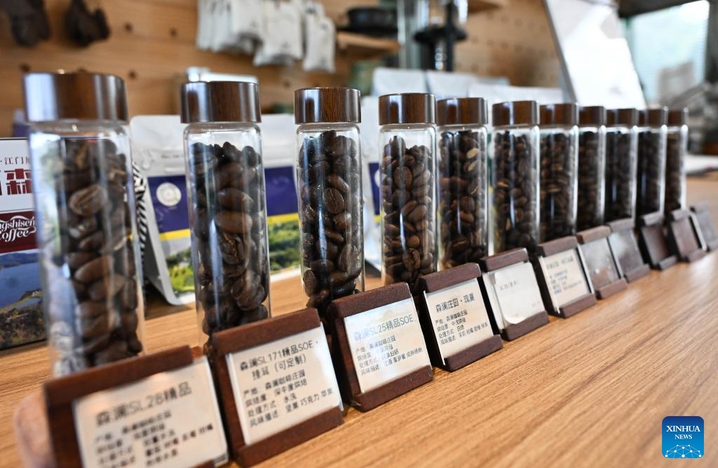 Guangdong : l'industrie du café prospère à Jiangmen