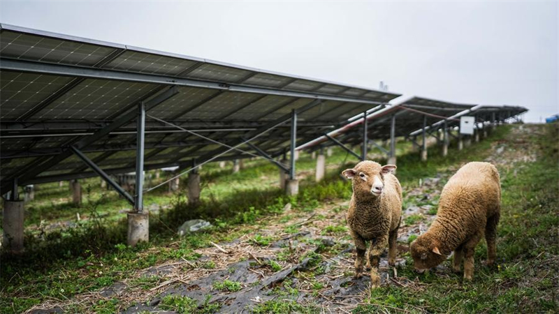 Développement des énergies vertes en Chine
