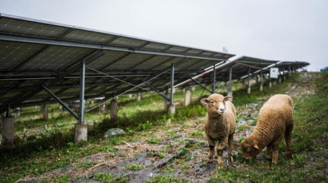 Développement des énergies vertes en Chine
