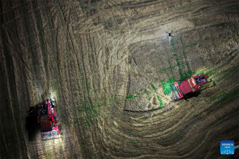 Anhui : un drone d'éclairage aide les machines agricoles à récolter le blé de nuit