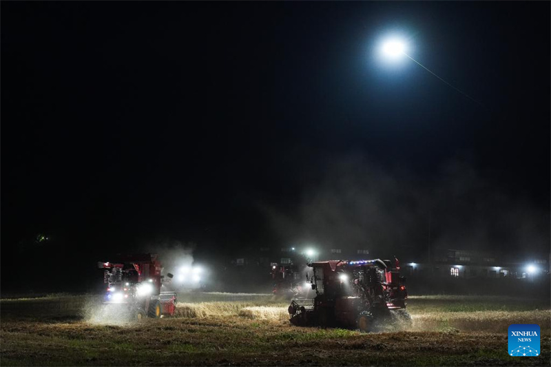 Anhui : un drone d'éclairage aide les machines agricoles à récolter le blé de nuit