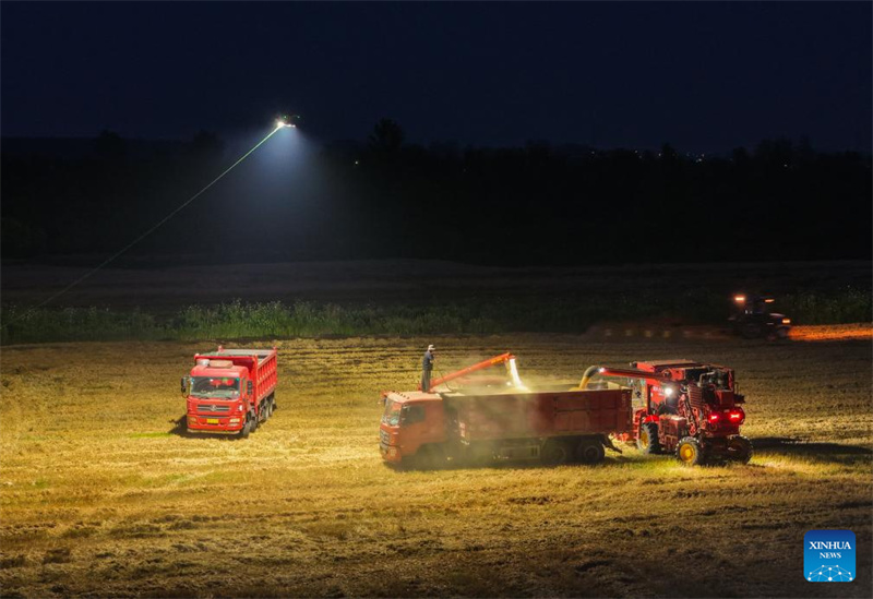 Anhui : un drone d'éclairage aide les machines agricoles à récolter le blé de nuit
