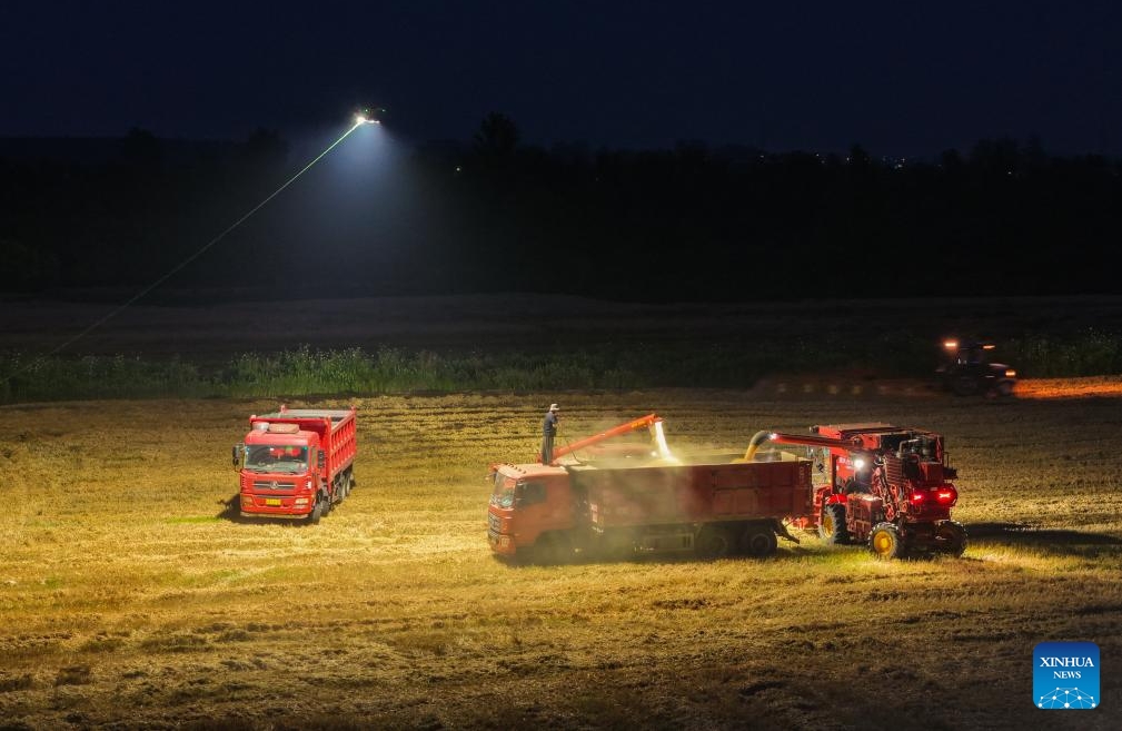 Anhui : un drone d'éclairage aide les machines agricoles à récolter le blé de nuit