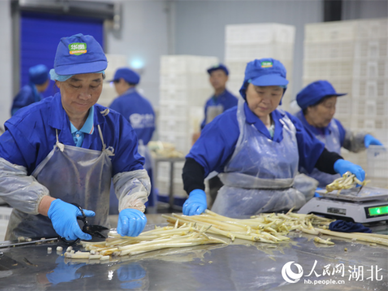 Des ouvriers emballent des jeunes pousses de lotus dans une usine à Honghu, dans la province du Hubei (centre de la Chine). (Wang Guoji / Le Quotidien du Peuple en ligne)