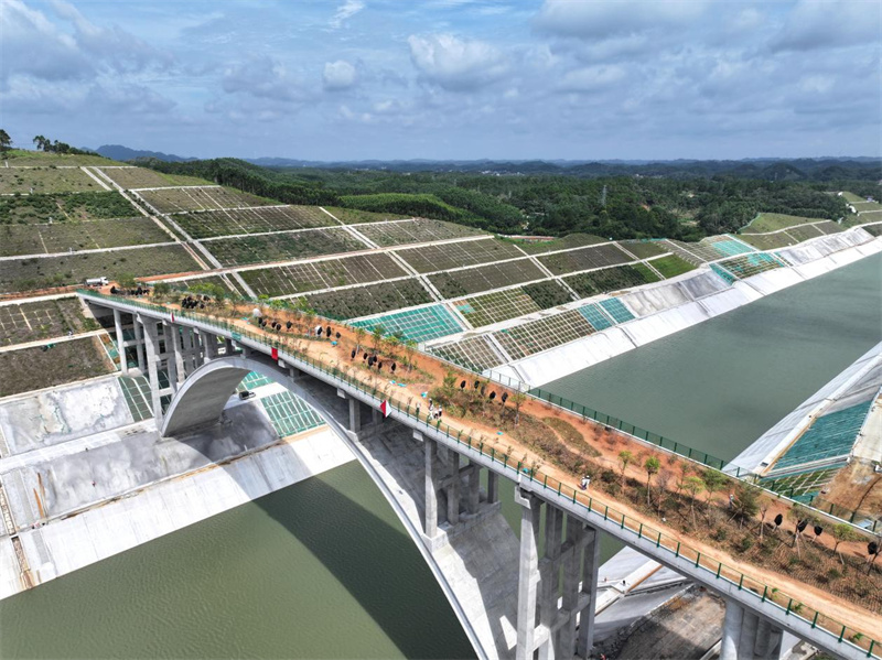 Photo prise par un drone montrant le pont dédié au passage des animaux sur le canal Pinglu le 8 juin 2026, dans la région autonome Zhuang du Guangxi (sud de la Chine). (Zhou Hua/Xinhua)