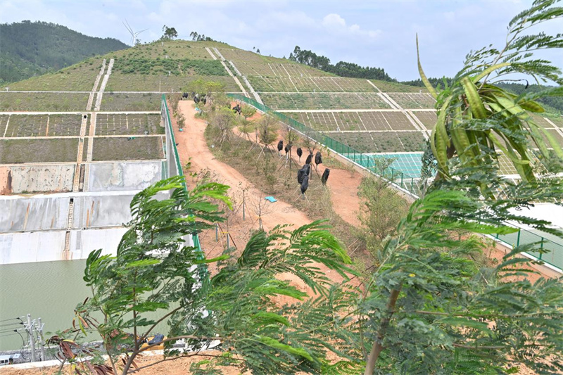 Guangxi : en visite sur le pont dédié au passage des animaux sur le canal Pinglu