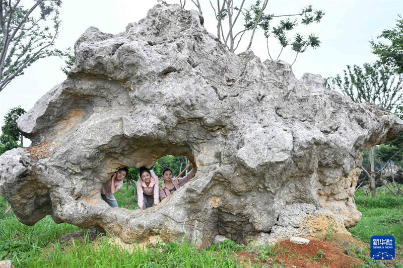 Des visiteurs prennent des photos et se promènent dans le Musée-Jardin des Pierres d'ornement Jinkangda, le 8 juin 2026. (Ji Chunpeng/Xinhua)