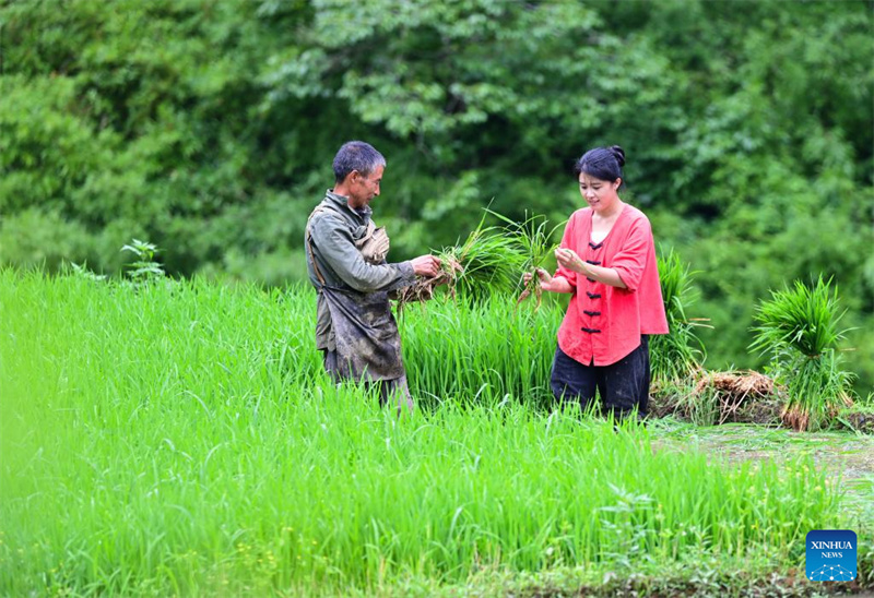 Fujian : l'histoire d'une jeune entrepreneure dédiée à la revitalisation rurale par un travail acharné