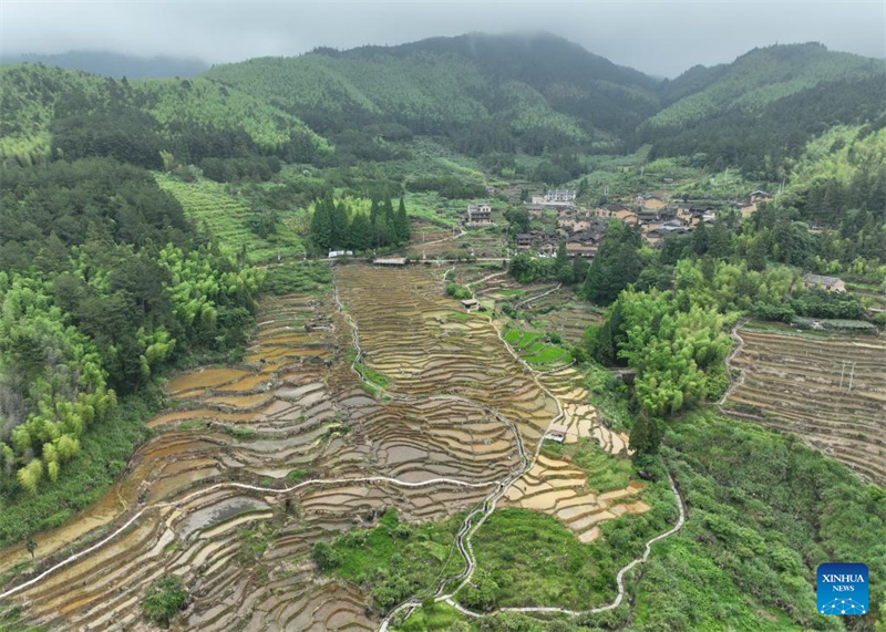 Fujian : l'histoire d'une jeune entrepreneure dédiée à la revitalisation rurale par un travail acharné