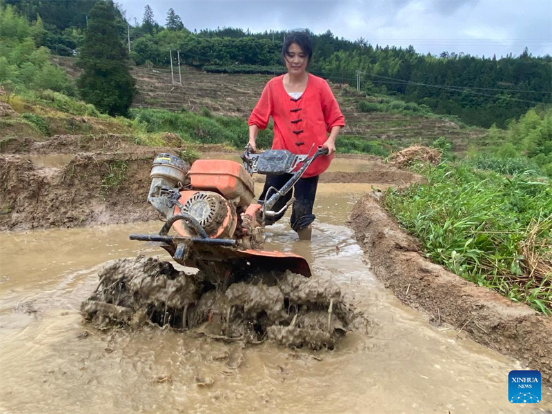 Fujian : l'histoire d'une jeune entrepreneure dédiée à la revitalisation rurale par un travail acharné