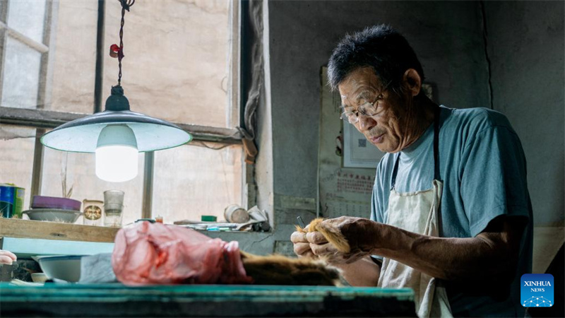 Hebei : histoire en photos d'une jeune héritière de la technique de fabrication des pinceaux d'écriture de Houdian à Hengshui