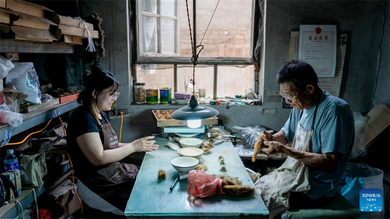 Hebei : histoire en photos d'une jeune héritière de la technique de fabrication des pinceaux d'écriture de Houdian à Hengshui