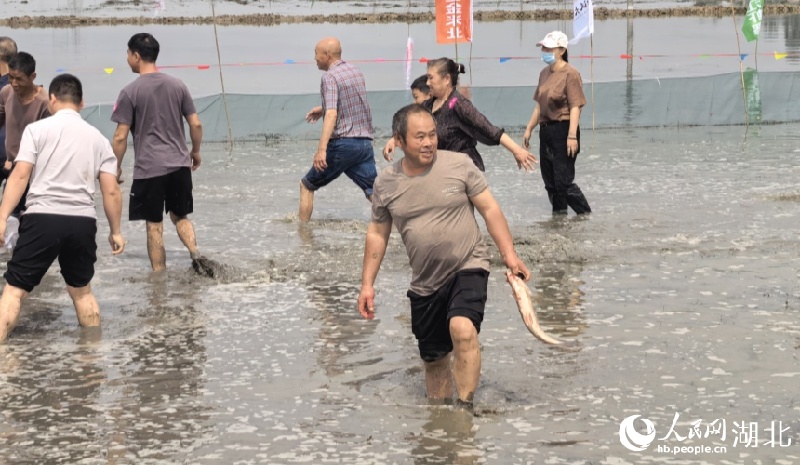 Hubei : découvrez la culture du riz et l'élevage des crevettes et profitez de l'ambiance rurale à Qianjiang