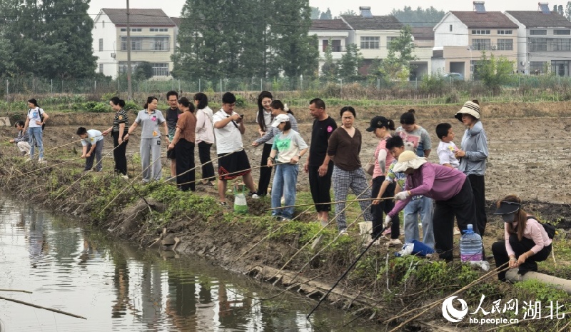 Hubei : découvrez la culture du riz et l'élevage des crevettes et profitez de l'ambiance rurale à Qianjiang