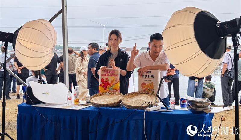 Hubei : découvrez la culture du riz et l'élevage des crevettes et profitez de l'ambiance rurale à Qianjiang