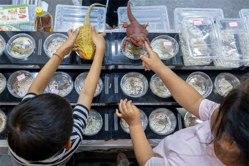 Chine : Exposition mondiale des reptiles de Beijing 2026