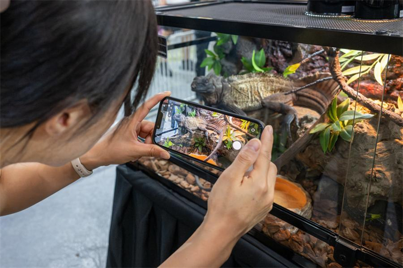 Chine : Exposition mondiale des reptiles de Beijing 2026