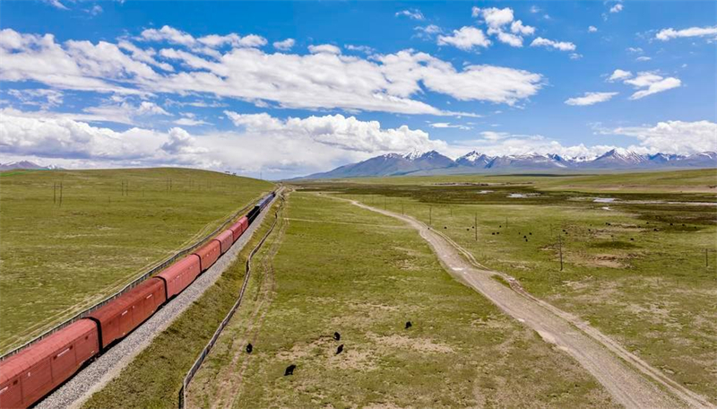 Chine : passages fauniques du chemin de fer Qinghai-Xizang à Nagqu