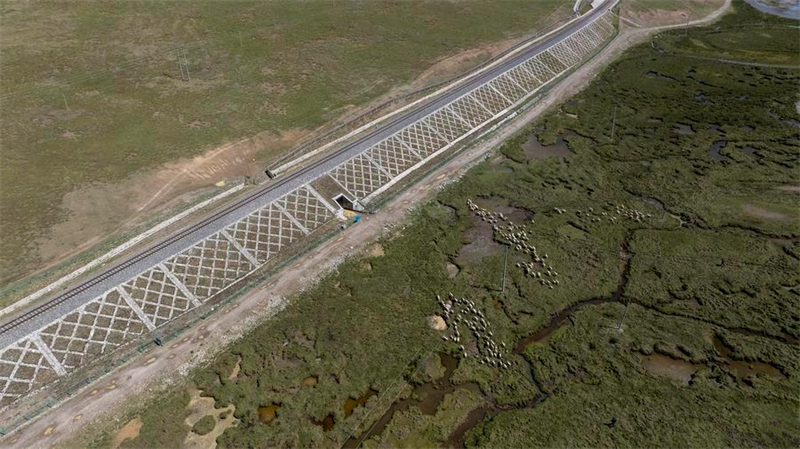 Chine : passages fauniques du chemin de fer Qinghai-Xizang à Nagqu